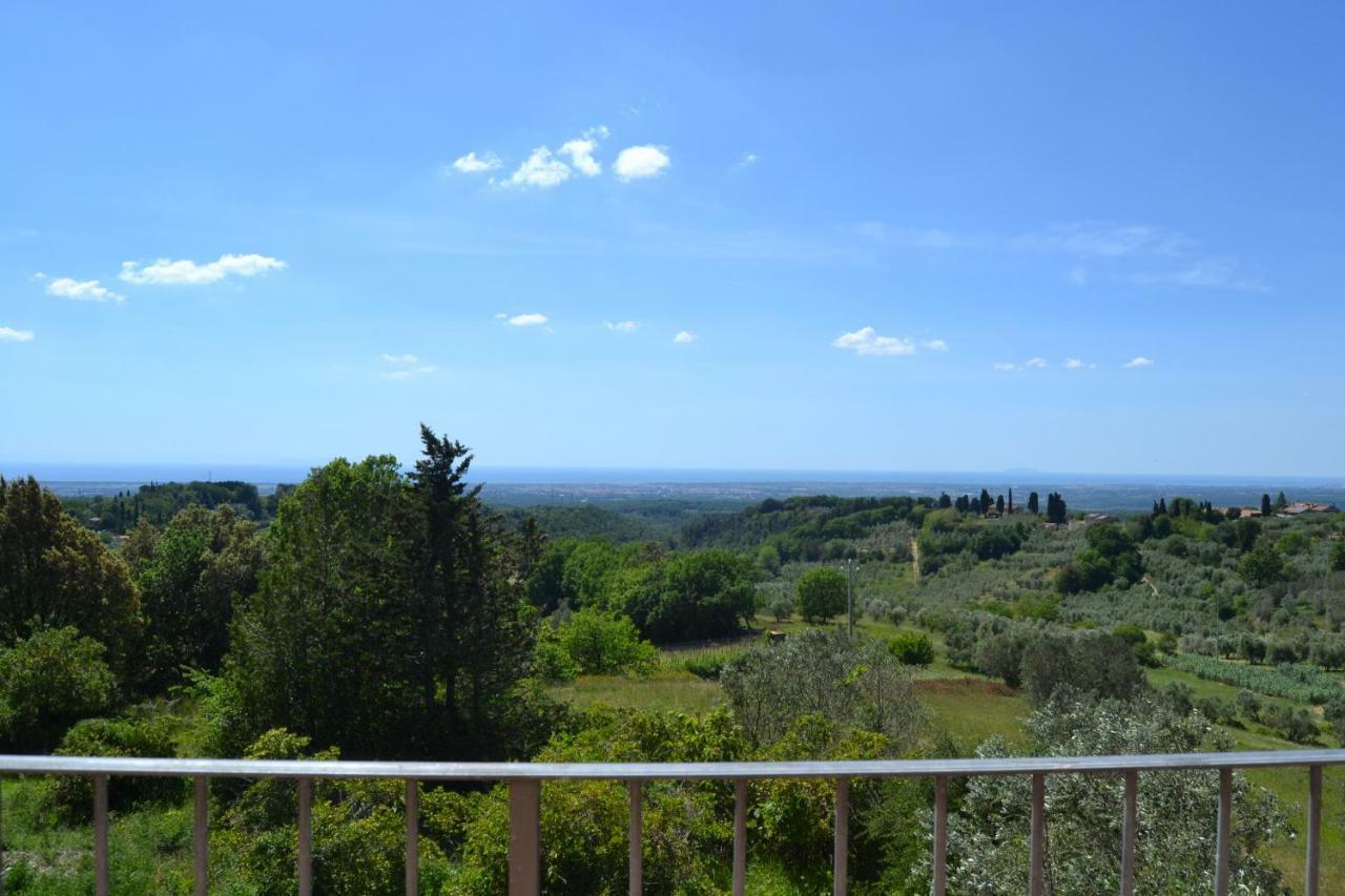 Apartment Belvedere
